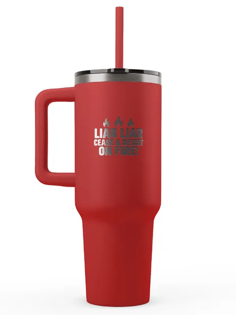 Liar Liar Mug